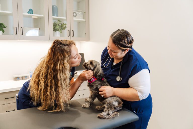 culver-city-branding-photographer-455