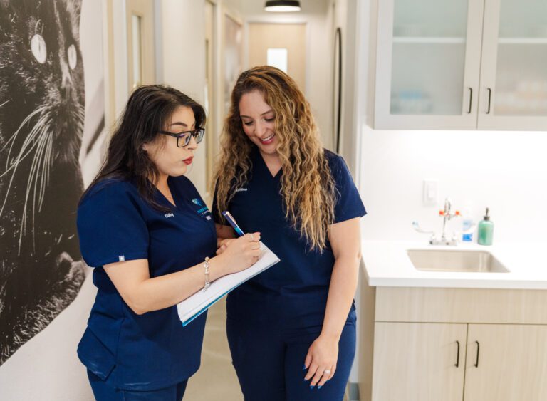 culver-city-headshots-453