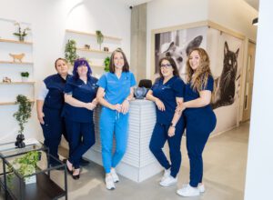 Read more about the article Culver City Branding Photos: Pure Animal Cardiology